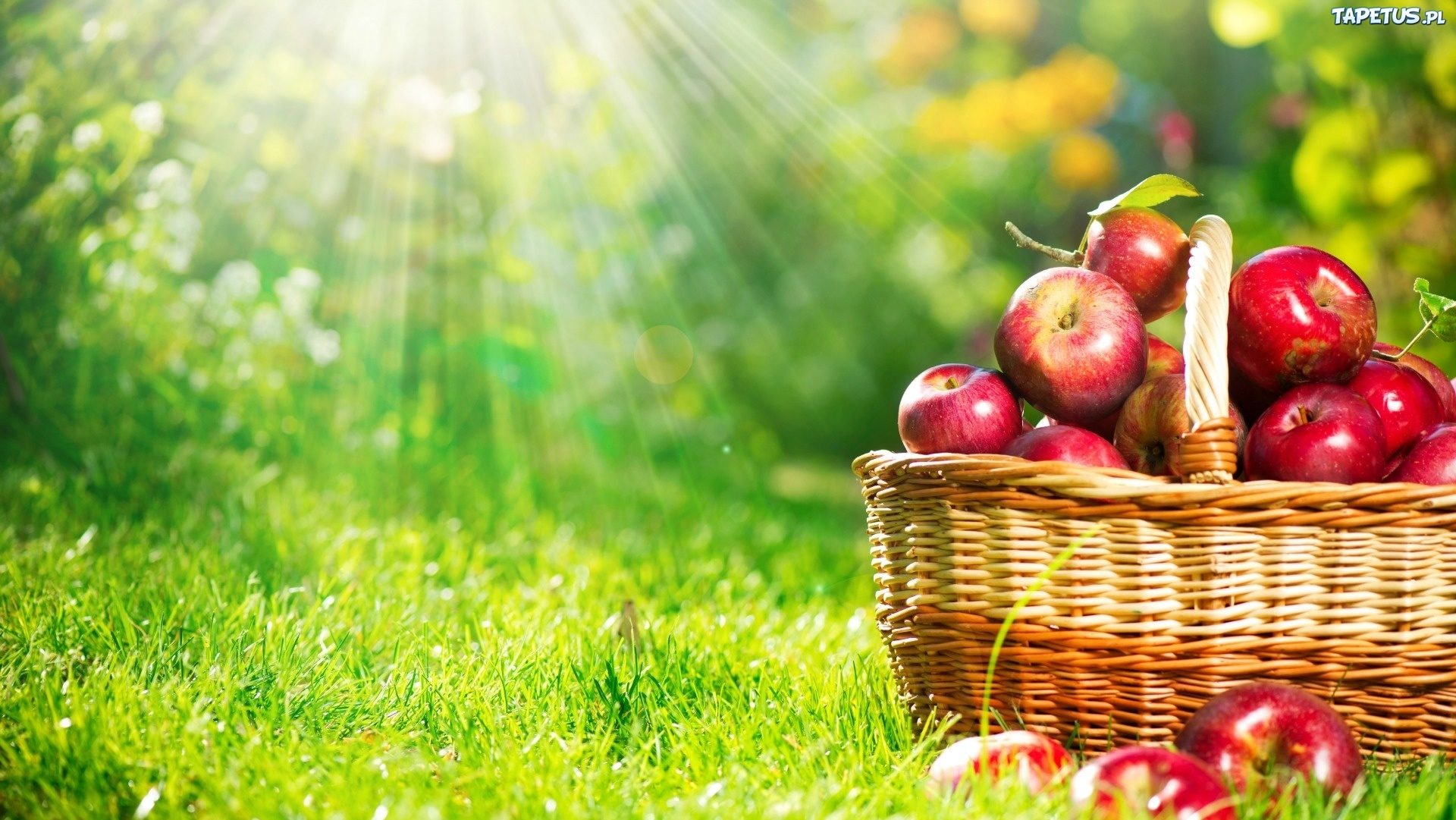 Apple Delice – 100% naturalny sok z owoców